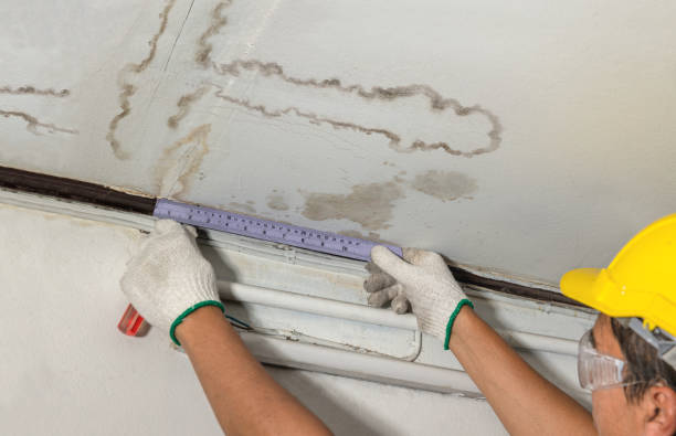 Reliable Burst Pipe Cleanup contractor in Henning, TN by Water Damage Irwin